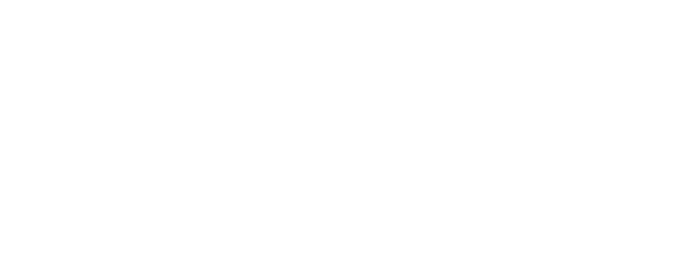 APLN Logo