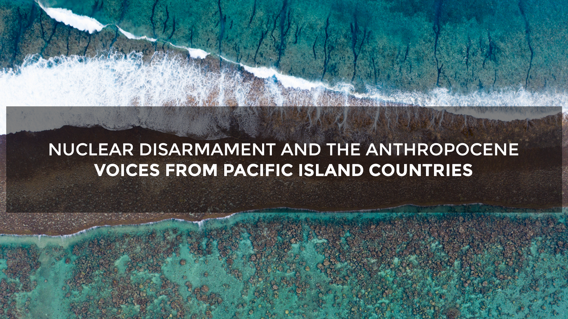 Nuclear Disarmament and the Anthropocene