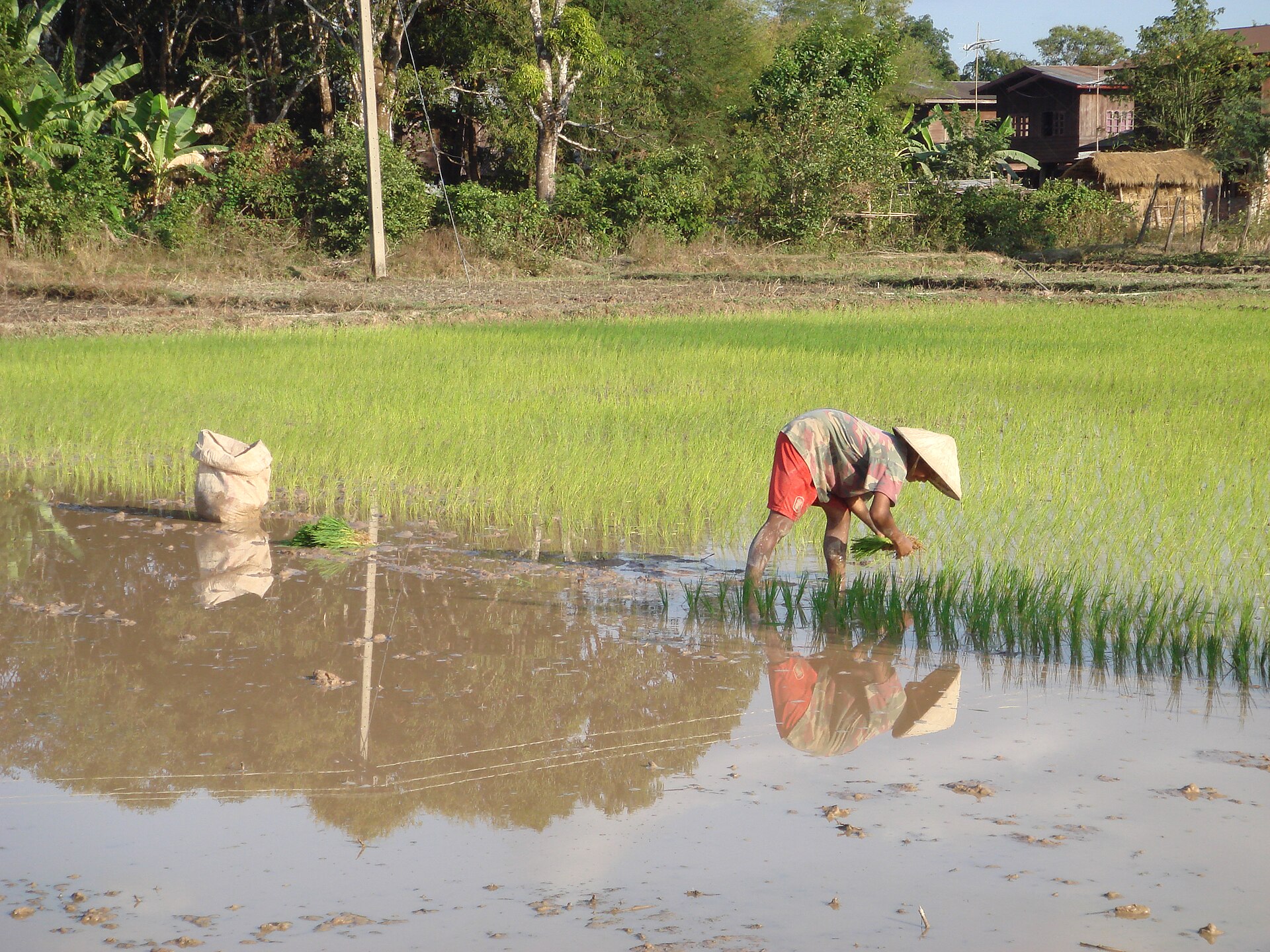 Southeast Asia and the Global South: Rhetoric and Reality